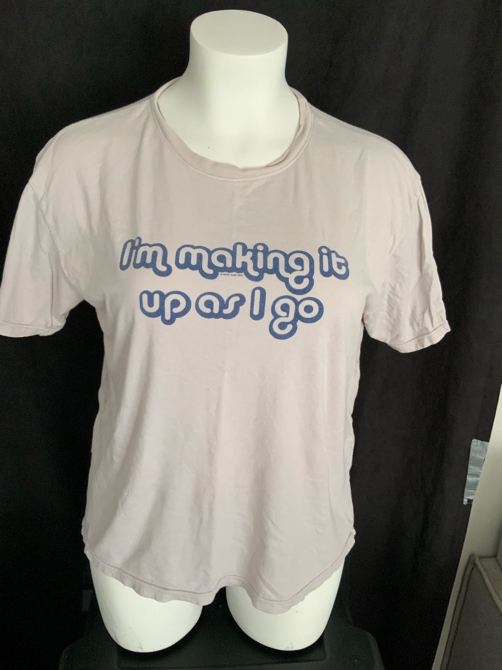 Light Gray Now & Zen Women’s T-Shirt (1059)